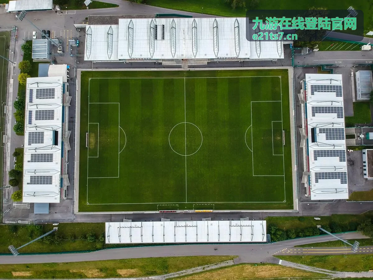 九游在线登陆官网登陆入口打开顺序说明配图
